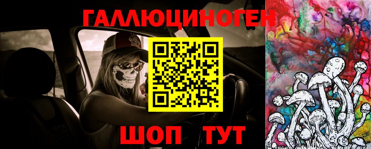 Курчатов  Галлюциногенные грибы MAGIC MUSHROOMS  Вход с VPN  Галлюциногенные грибы мицелий 